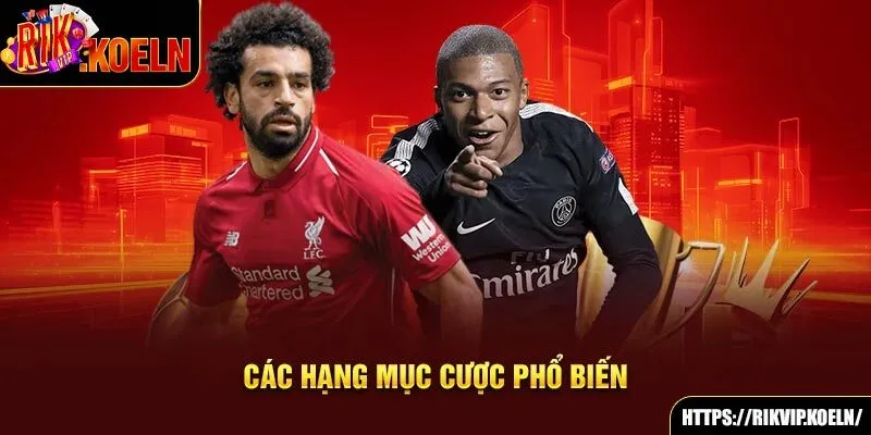 Các hạng mục cược phổ biến Các hạng mục cược phổ biến