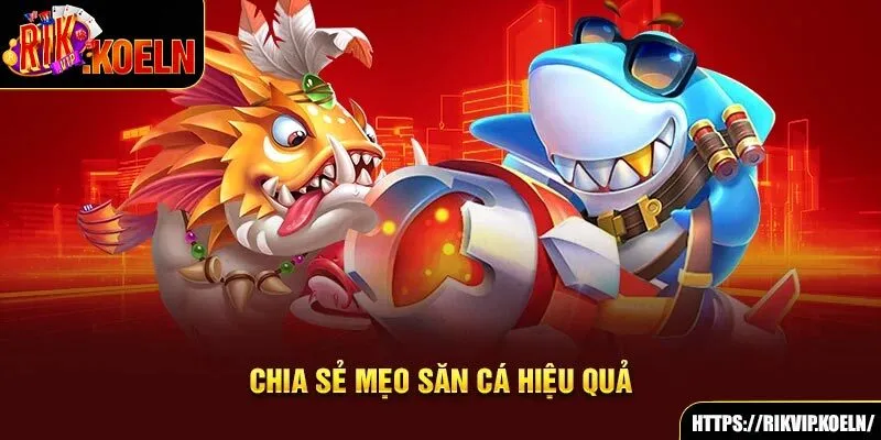 Chia sẻ mẹo săn cá hiệu quả Chia sẻ mẹo săn cá hiệu quả