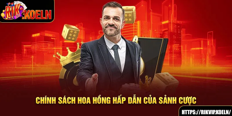 Chính sách hoa hồng hấp dẫn của sảnh cược