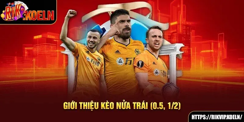 Giới thiệu kèo nửa trái (0.5 - 1/2) Giới thiệu kèo nửa trái (0.5 - 1/2)